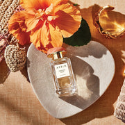 AERIN Hibiscus Palm
